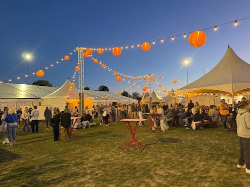 het feestterrein met lampjes , banken en mensen